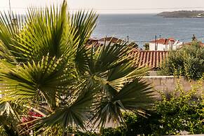 Creta Vitalis