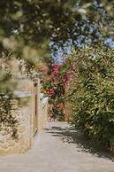 Creta Vitalis