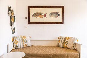 Creta Vitalis