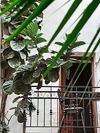 Casa dei Delfini
