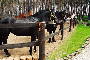 Park Drakino