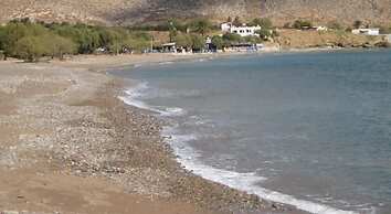 Coral Rooms