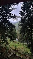 Ayder Doga Resort