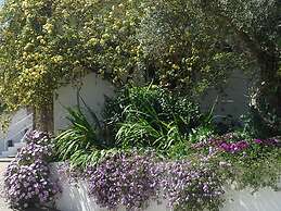 Horta da Coutada