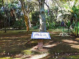 Casa Do Jardim