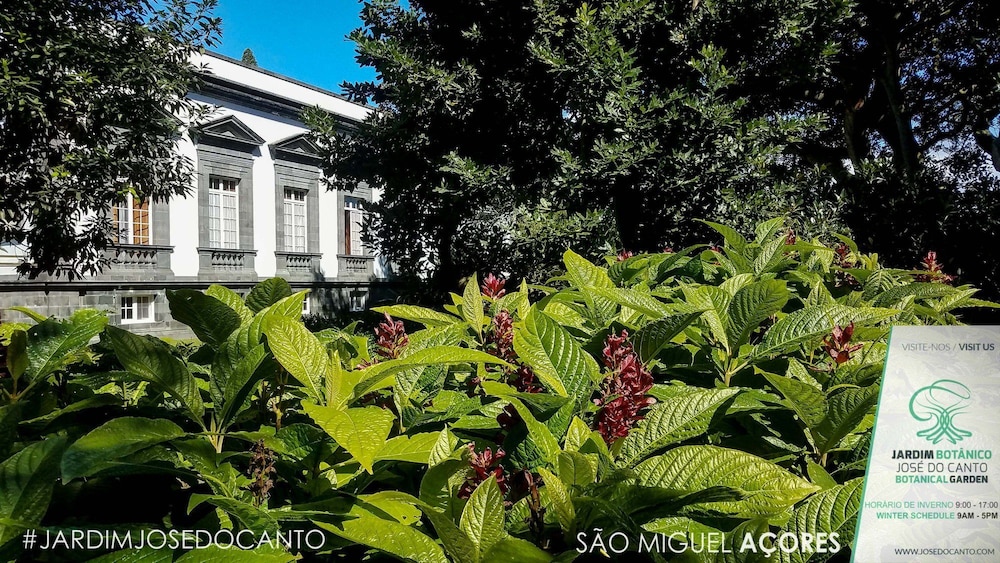 Casa Do Jardim