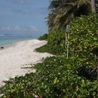 Ripple Beach Inn