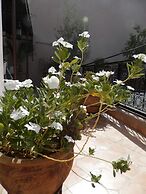 Riad Ailen