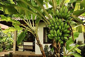 Bali Dream House