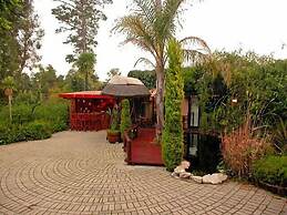 Constantia Vista