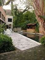 Constantia Vista