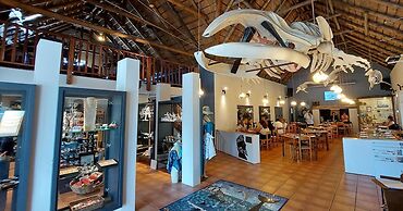 White Shark Guest House