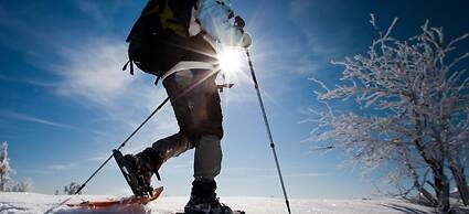 Bio Alpine Hotel Gran Fodà