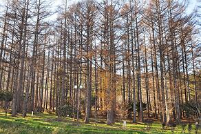 Highland Furano