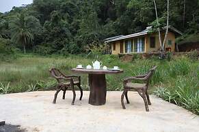 Sinharaja Forest Edge