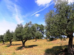 Agriturismo Aurora