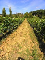 Agriturismo Aurora