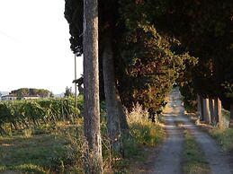 Agriturismo Santo Pietro