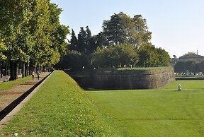 Fattoria Settepassi