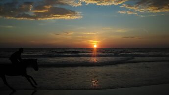 SS Beach Resort