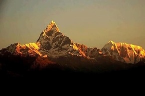 Bishnu Homestay