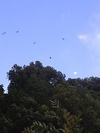 Bishnu Homestay