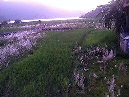 Bishnu Homestay