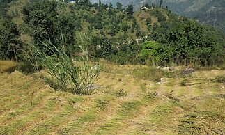 Bishnu Homestay