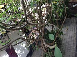 Double N Guesthouse