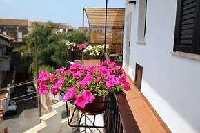 Tortugas B&B