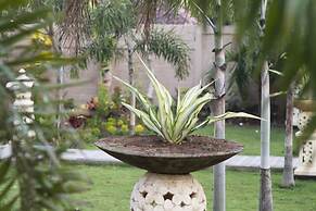 The Palm Grove