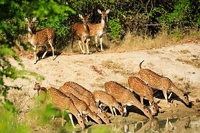 Uga Chena Huts - Yala - All Inclusive