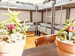 Al Yakhour Hostel