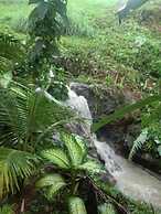 Eden Resort