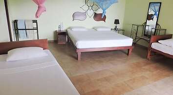 Nature Walk Resort