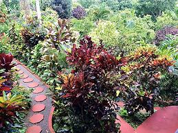 Eden Atenas