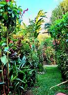 Eden Atenas