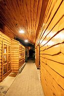 Hotel Alto Melimoyu