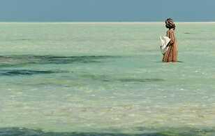 Jambiani White Sands Beach Bungalows