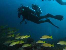 BEACH PALACE HOTEL