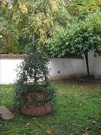 Casa Calicantus