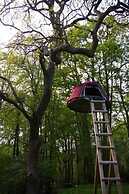 Woody Park
