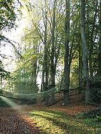 Woody Park
