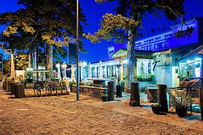 Troodos Hotel