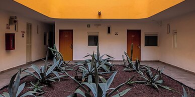 Opportunity León
