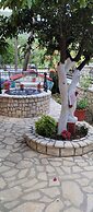 Corfu Dream Fani