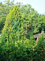 Agriturismo Radamez