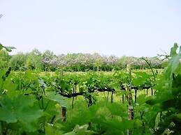Agriturismo Radamez