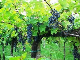 Agriturismo Radamez