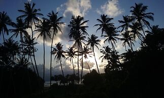 Ocean View